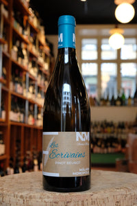 Pinot Beurot, Les Ecrivains